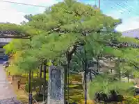 寛立院(曼陀羅寺塔頭)の自然