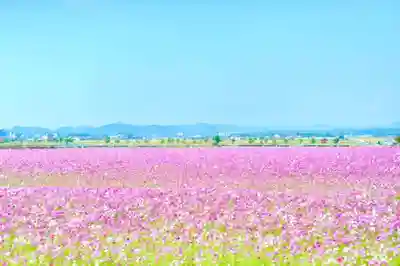 浄土寺(兵庫県)