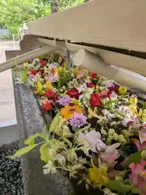鳩森八幡神社(東京都)