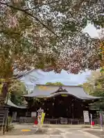 渋谷氷川神社(東京都)