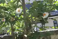 慈眼院(滋賀県)
