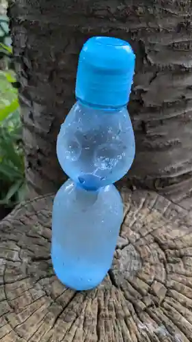 上川神社頓宮の食事