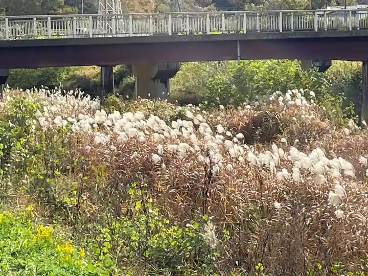 鏑射寺(兵庫県)