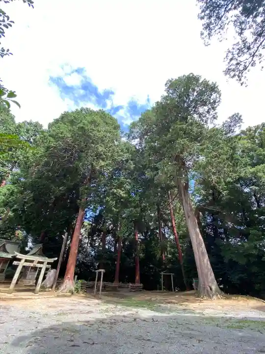 吉川八幡宮(岡山県)