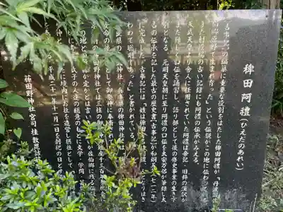 稗田野神社(薭田野神社)(京都府)