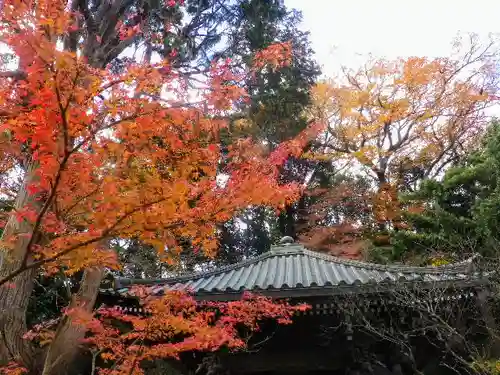 安國論寺（安国論寺）の自然