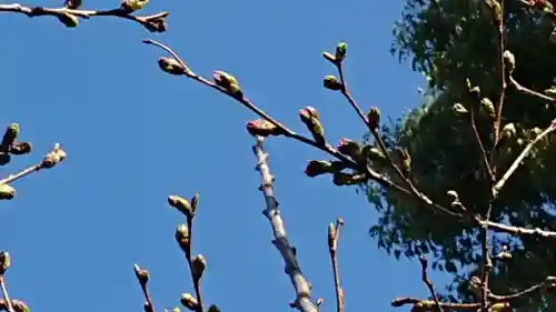 三輪神社の御朱印