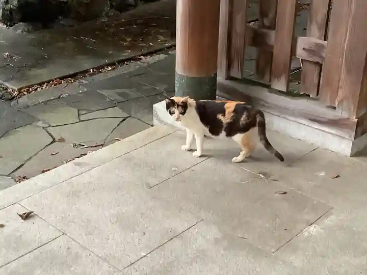 天王坊稲荷神社(岐阜県)