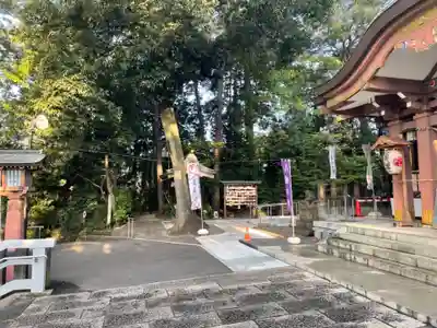 北澤八幡神社のその他建物