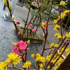 滑川神社 - 仕事と子どもの守り神の建物その他