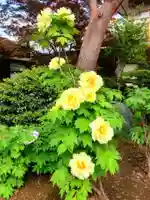 圓照寺(東京都)