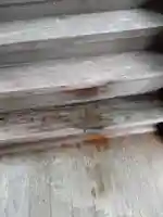 賀羅加波神社のその他建物