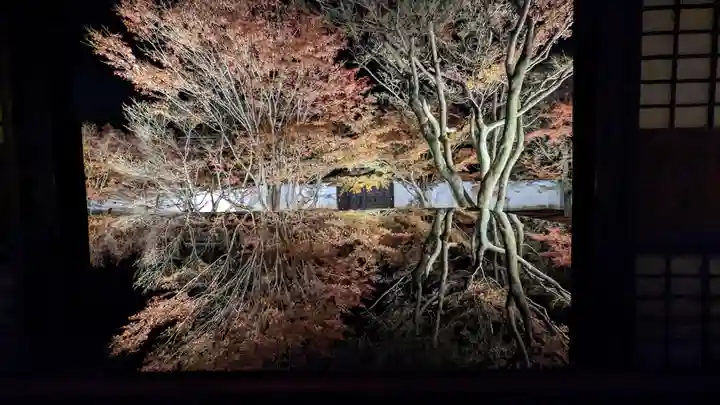 妙覺寺(妙覚寺)(京都府)