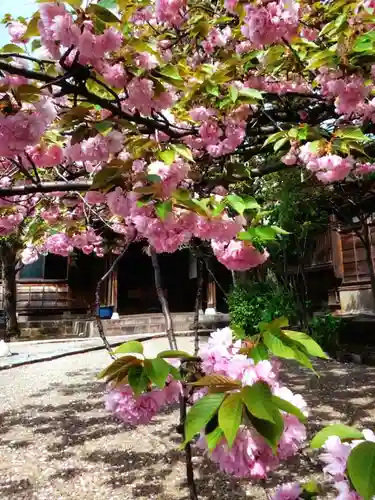 境妙寺(東京都)