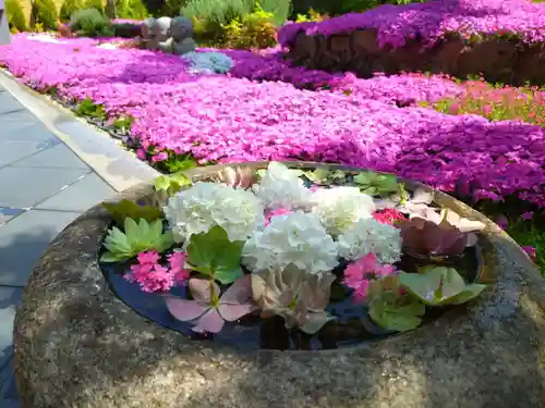 寿量山　速成寺(奈良県)