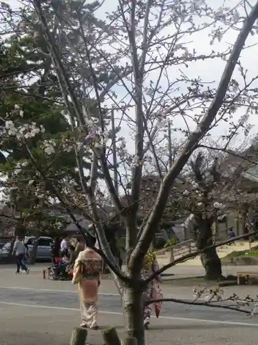 光明寺のその他建物