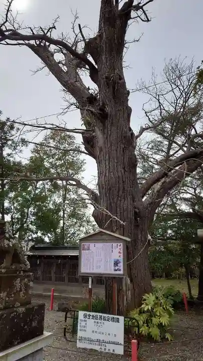 大宮神社の自然