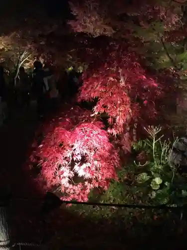 禅林寺（永観堂）(京都府)