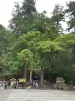 飛瀧神社(熊野那智大社別宮)の{uncategorized: "未分類", other: "その他", undefined: "問題あり", building: "その他建物", grave: "お墓", sacred_gate: "鳥居", guardian: "狛犬", statue: "像", buddha: "仏像", history: "歴史", nature: "自然", garden: "庭園", animal: "動物", pagoda: "塔", temizu: "手水舎", mountain_gate: "山門・神門", sanctuary: "本殿・本堂", subordinate: "末社・摂社", art: "芸術", scenery: "景色", jizo: "地蔵", ema: "絵馬", goshuin: "御朱印", omikuji: "おみくじ", items: "授与品その他", amulet: "お守り", goshuincho: "御朱印帳", eats: "食事", festival: "お祭り", votive_dance: "神楽", shichigosan: "七五三参", wedding: "結婚式", experience: "体験その他", initially: "初詣", around: "周辺", anti_infection: "感染症対策"}