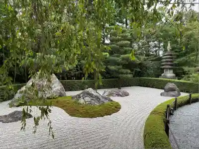 退蔵院(京都府)