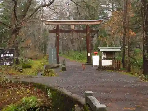 戸隠神社奥社の鳥居