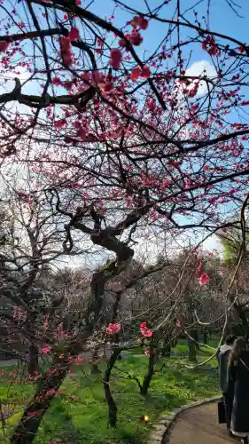 北野天満宮の{uncategorized: "未分類", other: "その他", undefined: "問題あり", building: "その他建物", grave: "お墓", sacred_gate: "鳥居", guardian: "狛犬", statue: "像", buddha: "仏像", history: "歴史", nature: "自然", garden: "庭園", animal: "動物", pagoda: "塔", temizu: "手水舎", mountain_gate: "山門・神門", sanctuary: "本殿・本堂", subordinate: "末社・摂社", art: "芸術", scenery: "景色", jizo: "地蔵", ema: "絵馬", goshuin: "御朱印", omikuji: "おみくじ", items: "授与品その他", amulet: "お守り", goshuincho: "御朱印帳", eats: "食事", festival: "お祭り", votive_dance: "神楽", shichigosan: "七五三参", wedding: "結婚式", experience: "体験その他", initially: "初詣", around: "周辺", anti_infection: "感染症対策"}