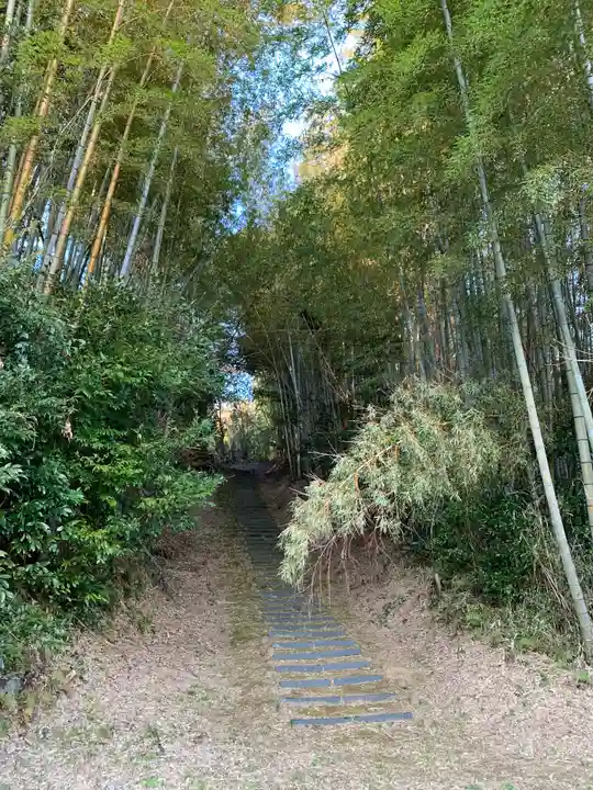 皇産霊神社の自然