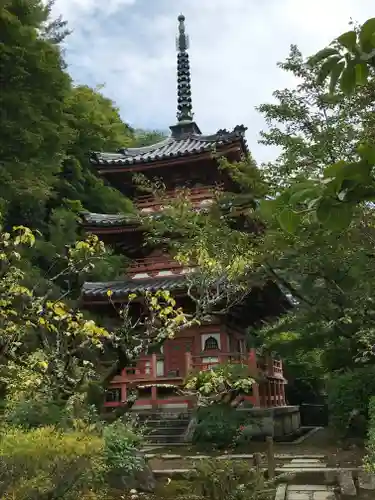 三室戸寺の塔