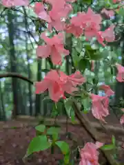 玉置神社(奈良県)