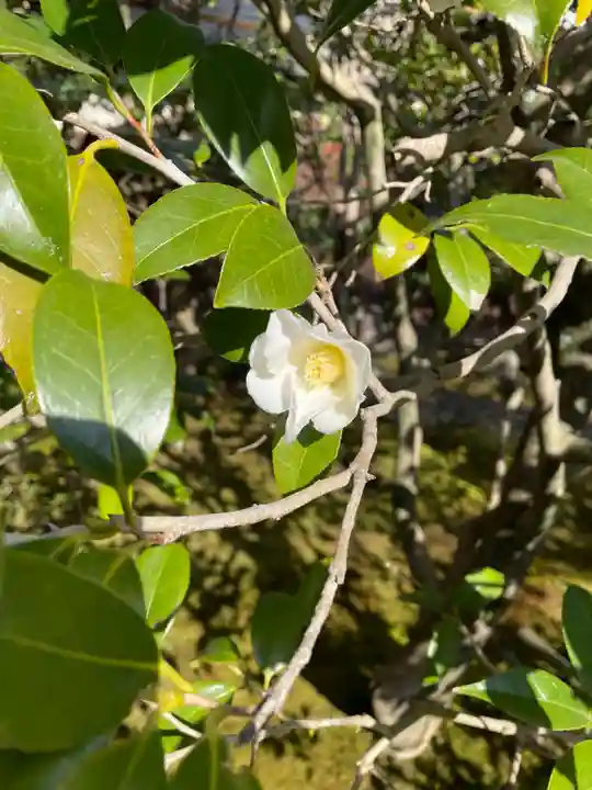 龍源院(京都府)