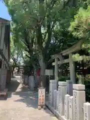 射楯兵主神社の鳥居