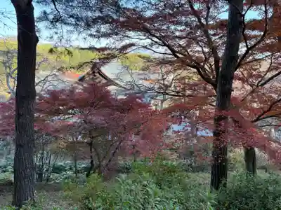 天龍寺(京都府)
