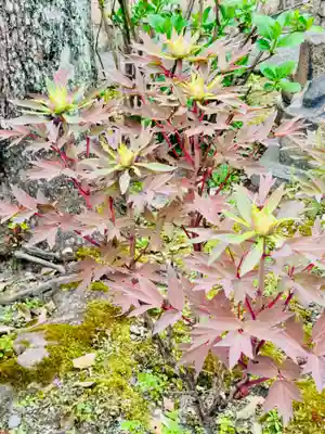 六孫王神社(京都府)