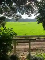 子安神社の鳥居