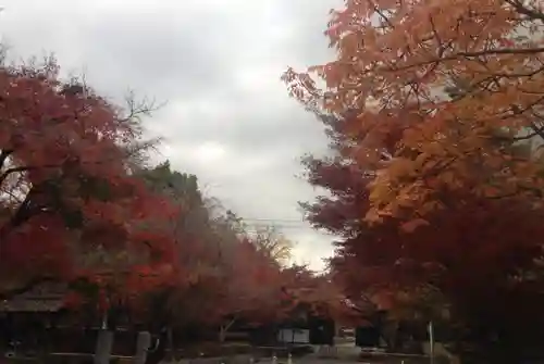 宝珠山　観泉寺の自然