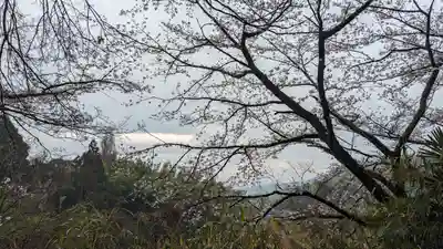 勝持寺（花の寺）(京都府)