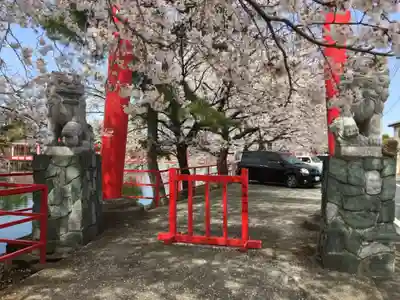 御嶽山 白龍神社の狛犬