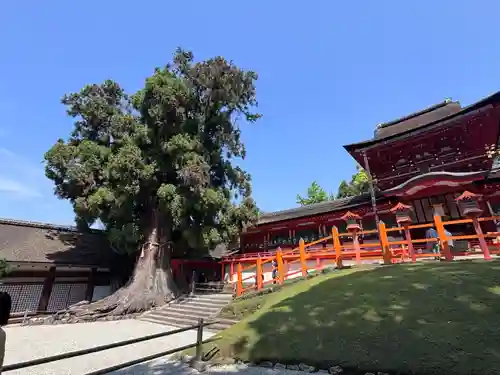 春日大社(奈良県)