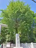 阿佐ヶ谷神明宮(東京都)