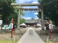 浅草神社の鳥居