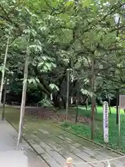 伊佐須美神社(福島県)