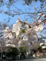 潮田神社の{uncategorized: "未分類", other: "その他", undefined: "問題あり", building: "その他建物", grave: "お墓", sacred_gate: "鳥居", guardian: "狛犬", statue: "像", buddha: "仏像", history: "歴史", nature: "自然", garden: "庭園", animal: "動物", pagoda: "塔", temizu: "手水舎", mountain_gate: "山門・神門", sanctuary: "本殿・本堂", subordinate: "末社・摂社", art: "芸術", scenery: "景色", jizo: "地蔵", ema: "絵馬", goshuin: "御朱印", omikuji: "おみくじ", items: "授与品その他", amulet: "お守り", goshuincho: "御朱印帳", eats: "食事", festival: "お祭り", votive_dance: "神楽", shichigosan: "七五三参", wedding: "結婚式", experience: "体験その他", initially: "初詣", around: "周辺", anti_infection: "感染症対策"}