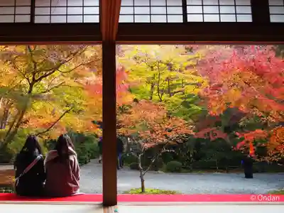 圓光寺(京都府)