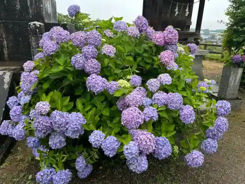 粟井神社(香川県)