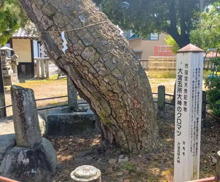 大宮五所大神(山梨県)