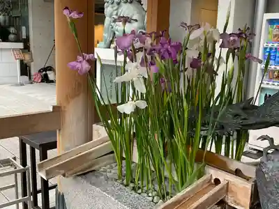 水天宮(東京都)