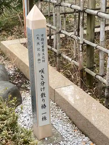 星谷寺(神奈川県)