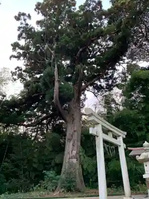 熊野大神(千葉県)