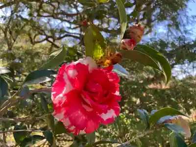石塔寺(滋賀県)