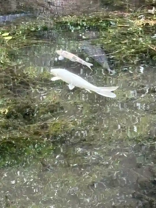 赤城神社(三夜沢町)(群馬県)